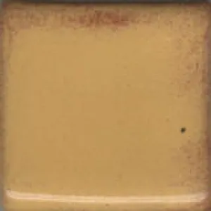 Butterscotch Shino