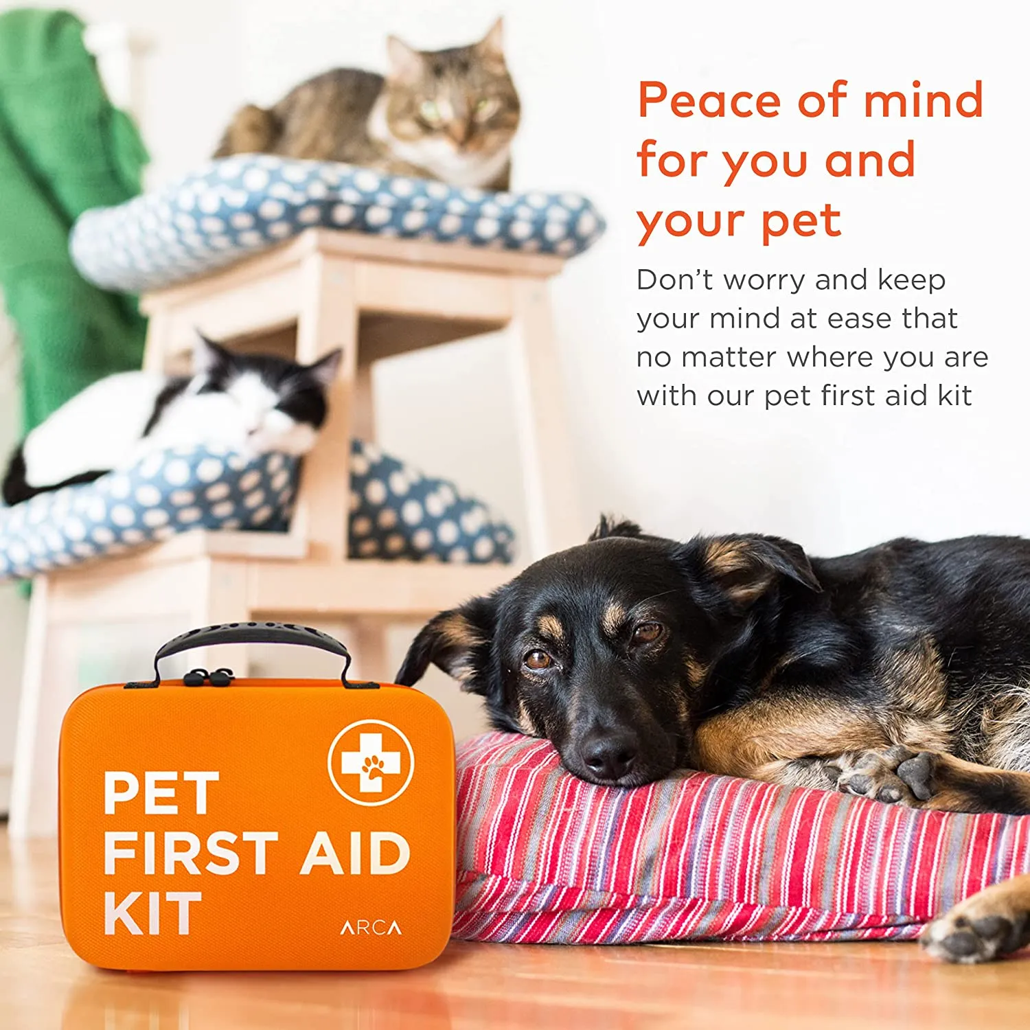 Cat & Dog First Aid Kit