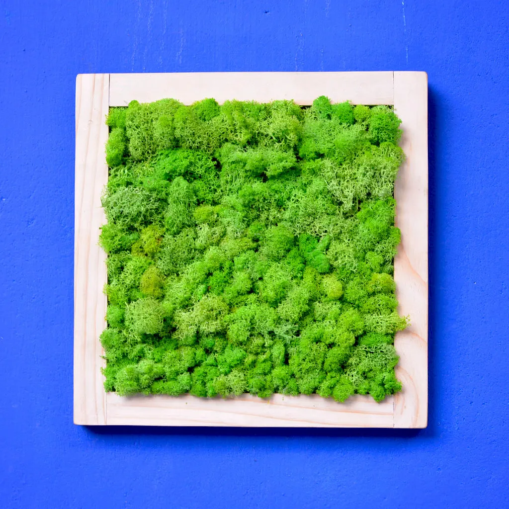 Classic Green Preserved Moss Frame with Light Wood