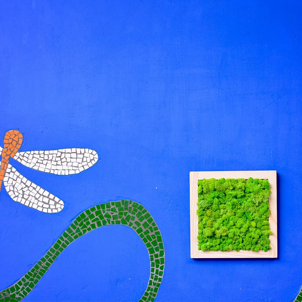 Classic Green Preserved Moss Frame with Light Wood