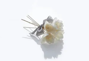 Diffuser Reeds Set/5