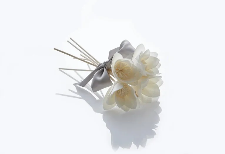 Diffuser Reeds Set/5
