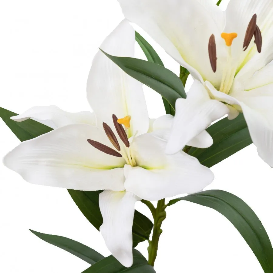 Lily Spray White