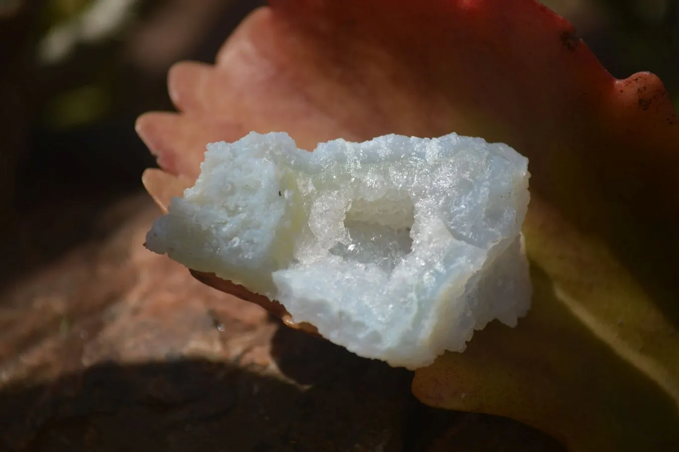 Natural Etched Blue Chalcedony Specimens x  From Nsanje, Malawi