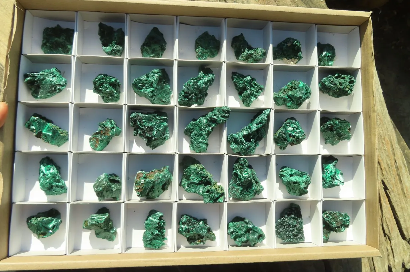 Natural Silky Malachite Specimens x From Kasompe, Congo