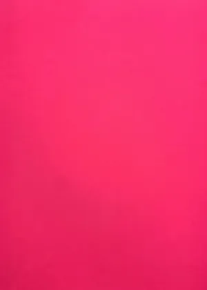 NYLON POWER YOGA STRETCHED KNIT<br><h6>4-NEON PINK<br>386-POWER</h6>