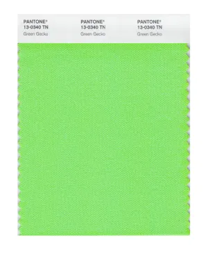 Pantone Nylon Brights Swatch Card 13-0340 TCX (Green Gecko)