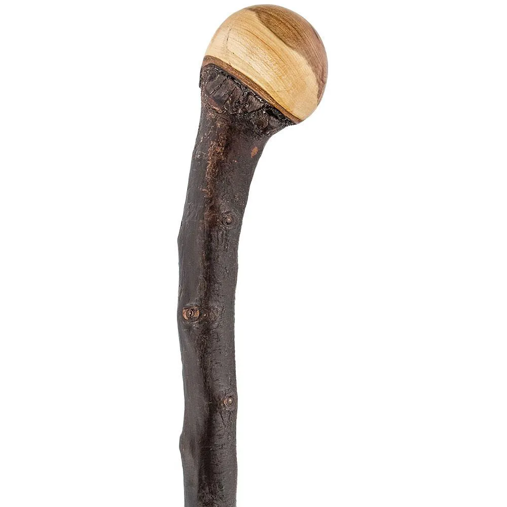 Premium Hand-Selected Irish Blackthorn Root Knobbed Walking Stick