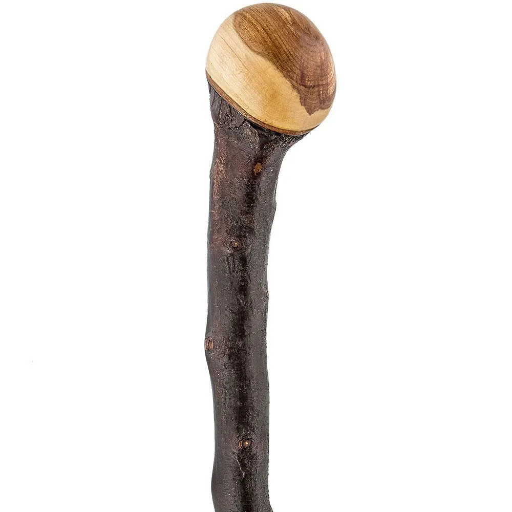 Premium Hand-Selected Irish Blackthorn Root Knobbed Walking Stick