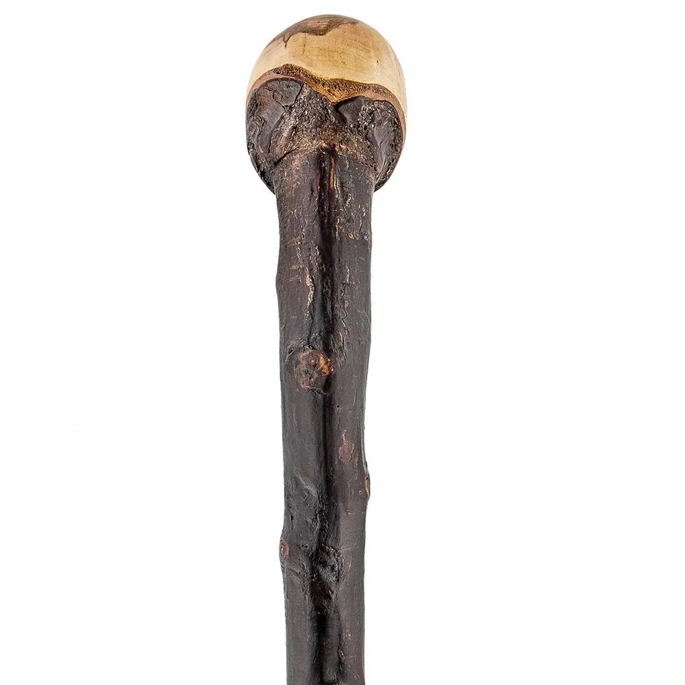 Premium Hand-Selected Irish Blackthorn Root Knobbed Walking Stick