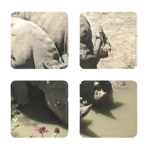 Rhino Sublimation Coasters Pack of Four