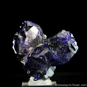 Royal Blue Azurite Heart Mineral Specimen Rosette Congo A     Museum Quality