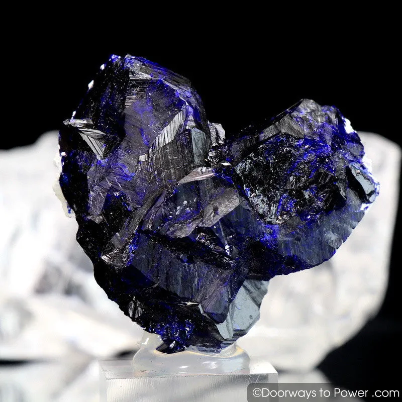 Royal Blue Azurite Heart Mineral Specimen Rosette Congo A     Museum Quality