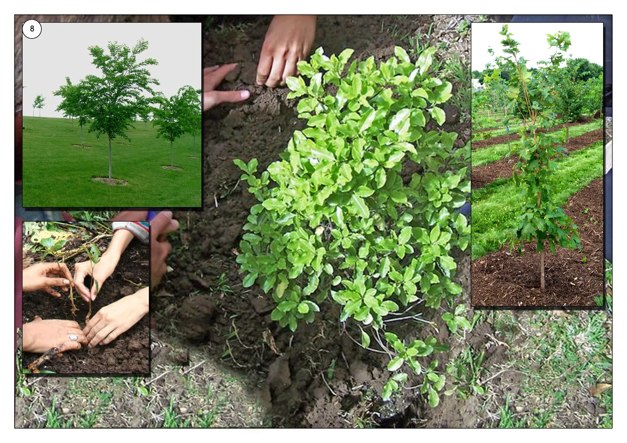 Saving Energy Photo Pack Digital Download