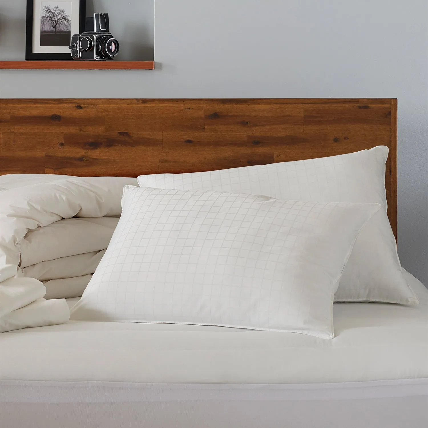 Soft Gel Filled 100% Cotton Dobby Windowpane Shell Stomach Sleeper Pillow