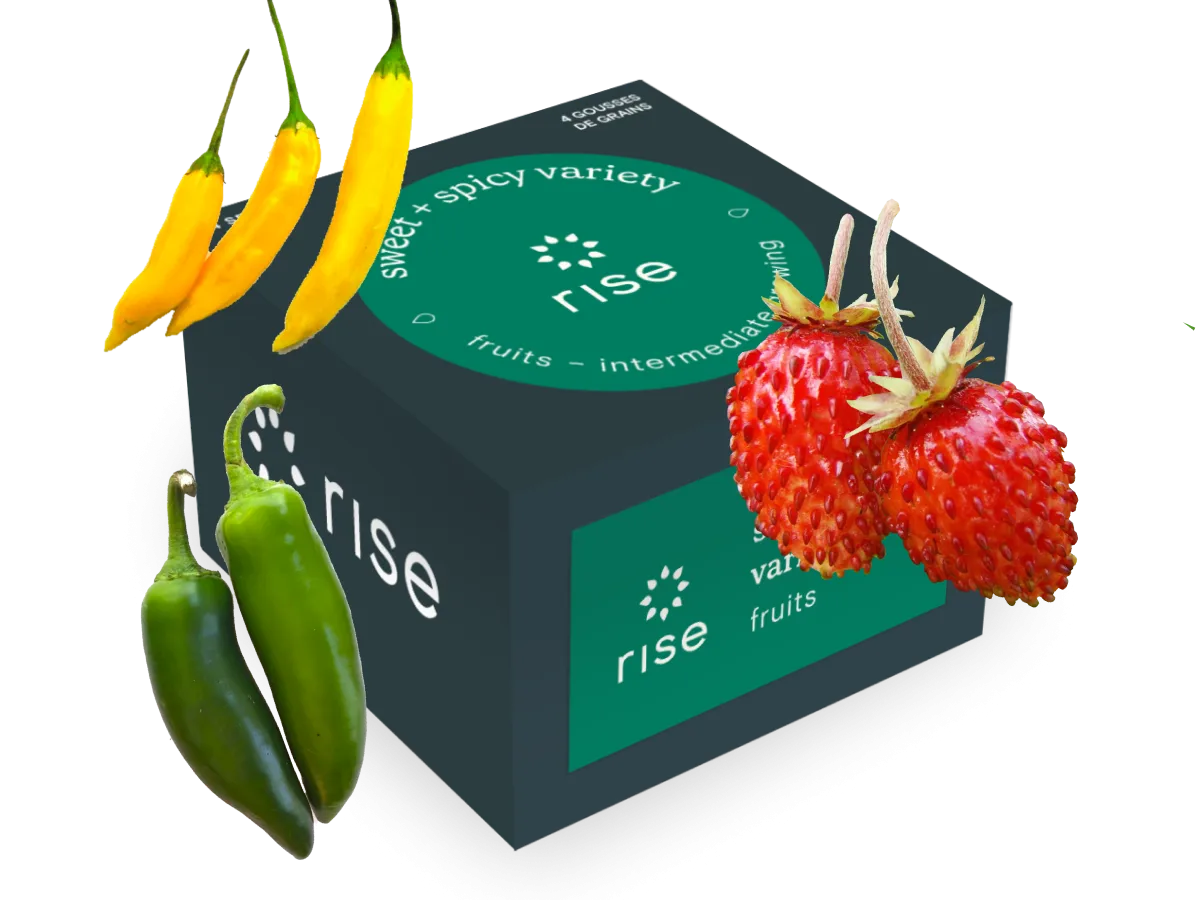 Sweet and Spicy Variety Pack