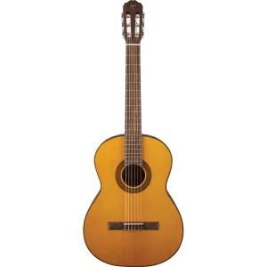 Takamine GC1 Series Acoustic Classical Guitar