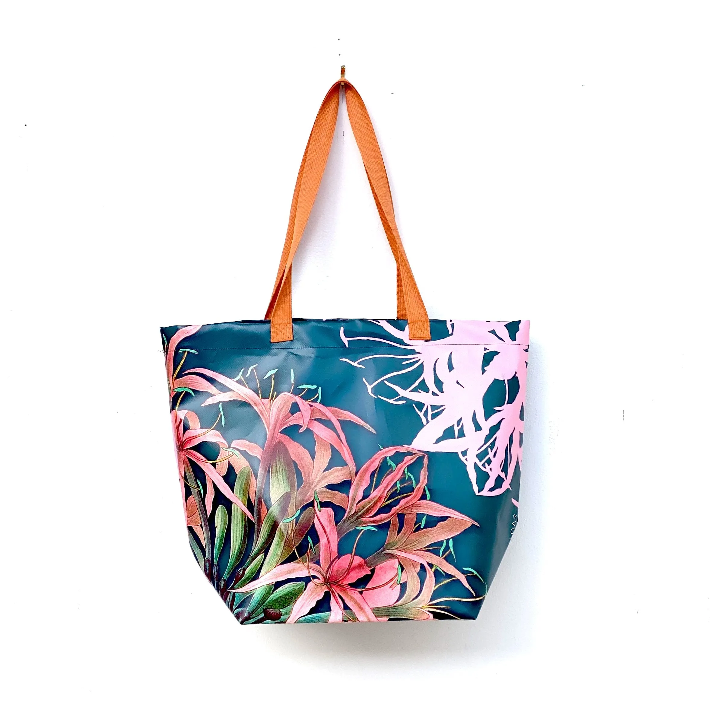 Tote Agapanthus