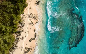 Wallpaper - Beautiful Blue